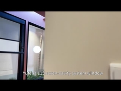 115 Fenestra a casella